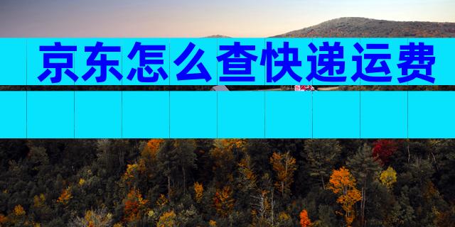 京东怎么查快递运费