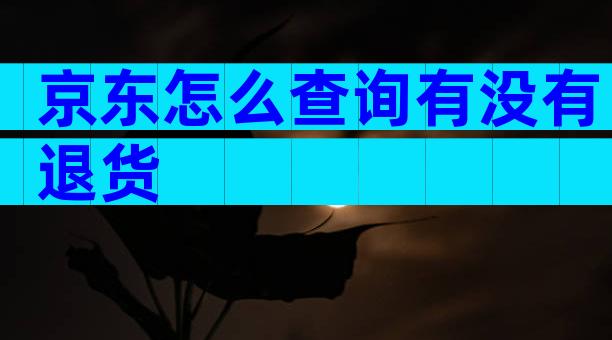 京东怎么查询有没有退货