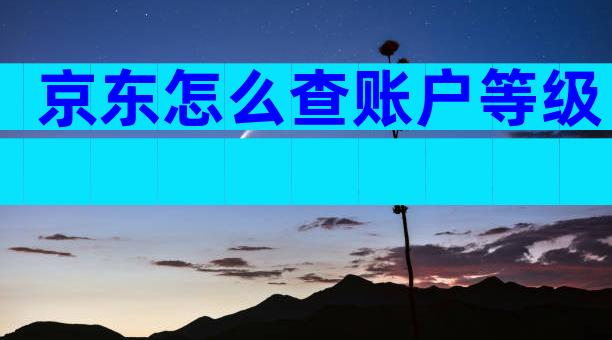 京东怎么查账户等级