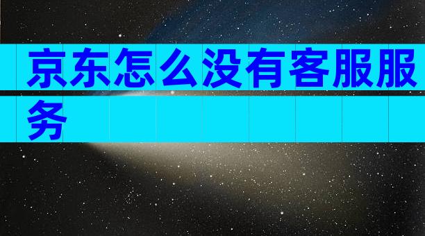 京东怎么没有客服服务