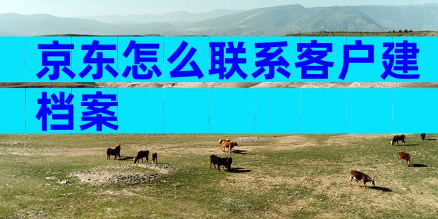 京东怎么联系客户建档案