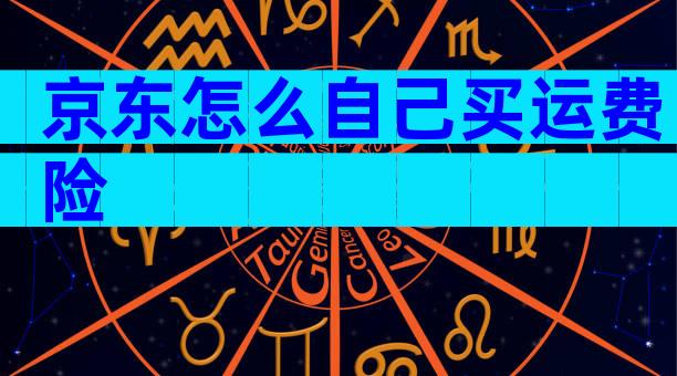 京东怎么自己买运费险