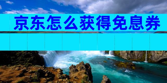 京东怎么获得免息券