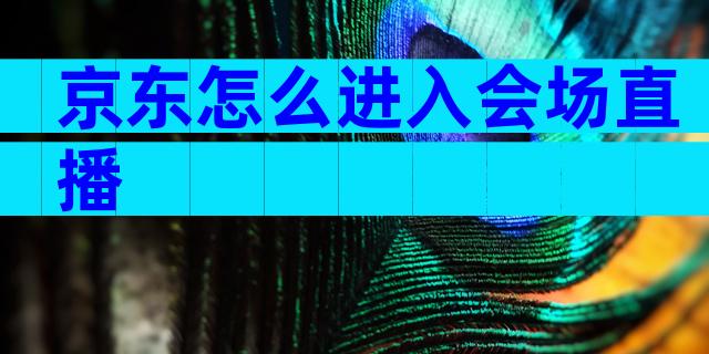 京东怎么进入会场直播