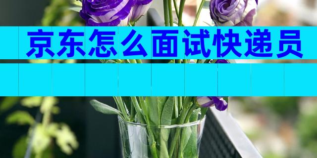 京东怎么面试快递员