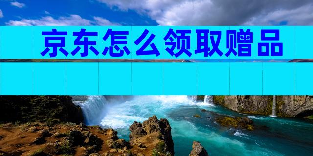 京东怎么领取赠品