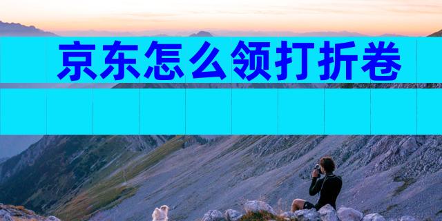 京东怎么领打折卷