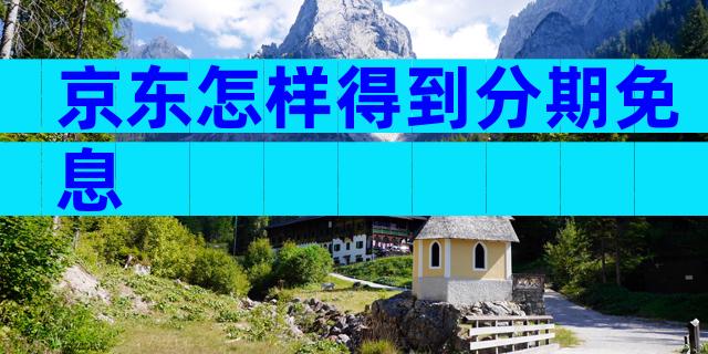 京东怎样得到分期免息