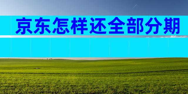 京东怎样还全部分期