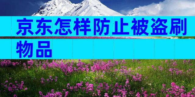 京东怎样防止被盗刷物品