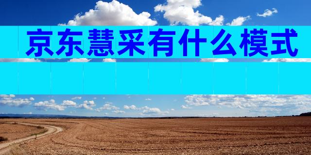 京东慧采有什么模式