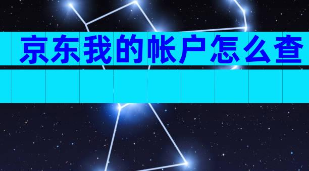 京东我的帐户怎么查