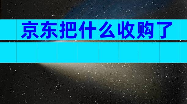 京东把什么收购了