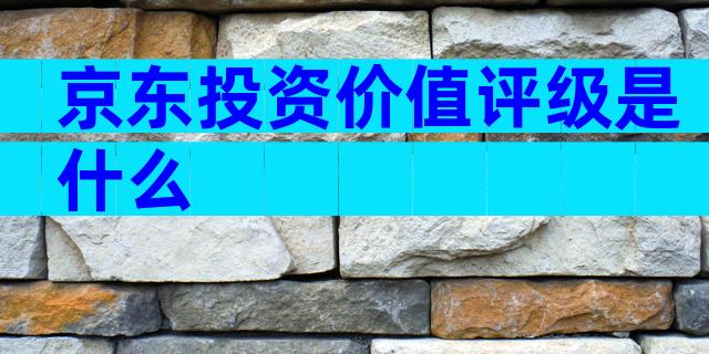 京东投资价值评级是什么