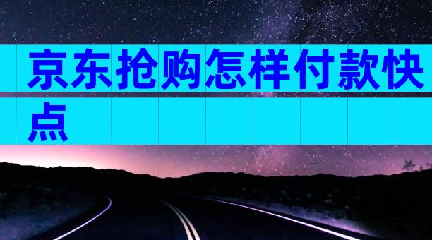 京东抢购怎样付款快点