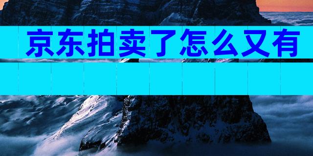 京东拍卖了怎么又有