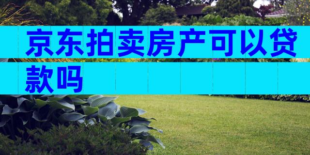 京东拍卖房产可以贷款吗