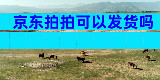 京东拍拍可以发货吗