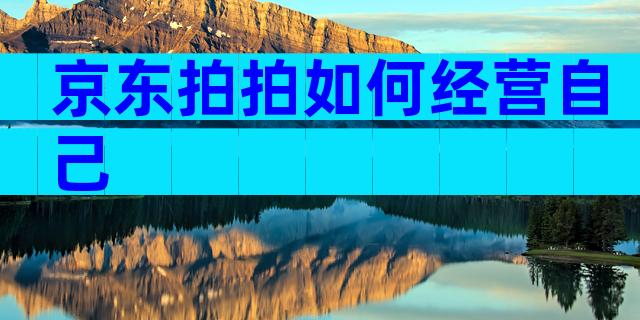 京东拍拍如何经营自己
