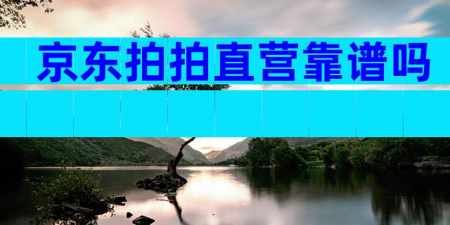 京东拍拍直营靠谱吗