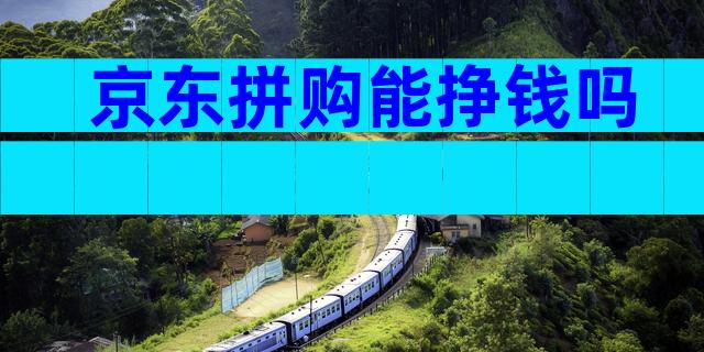 京东拼购能挣钱吗