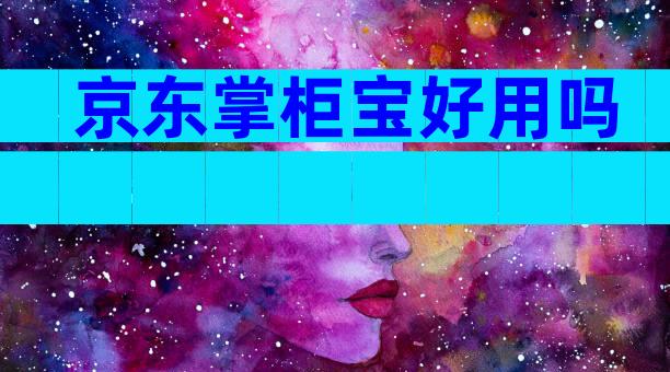 京东掌柜宝好用吗