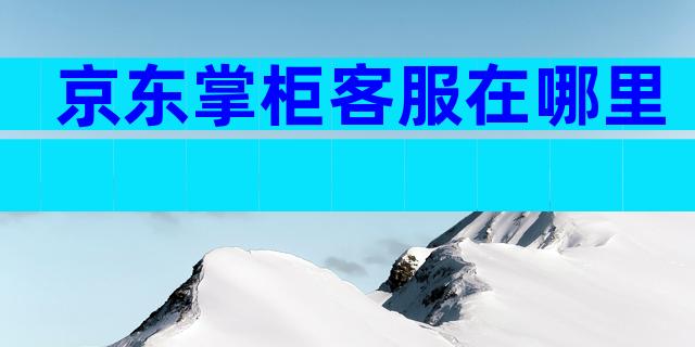 京东掌柜客服在哪里