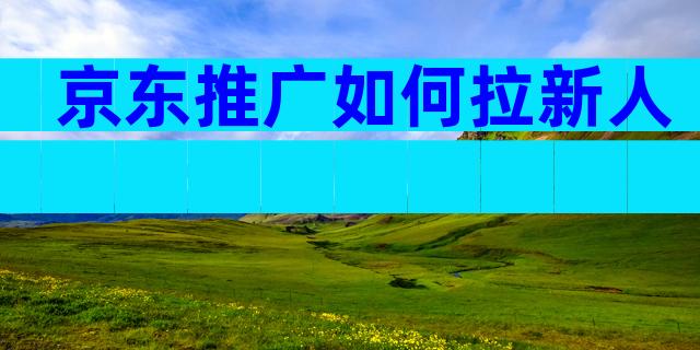 京东推广如何拉新人