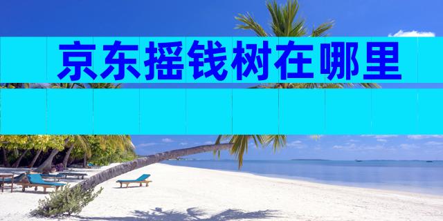 京东摇钱树在哪里
