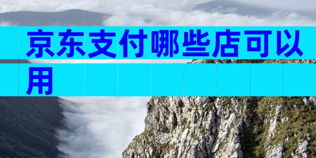 京东支付哪些店可以用