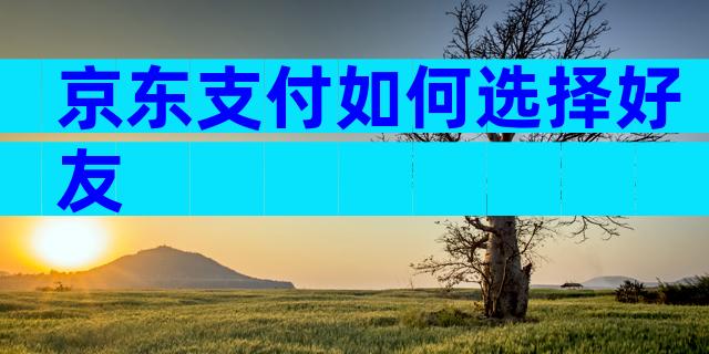 京东支付如何选择好友