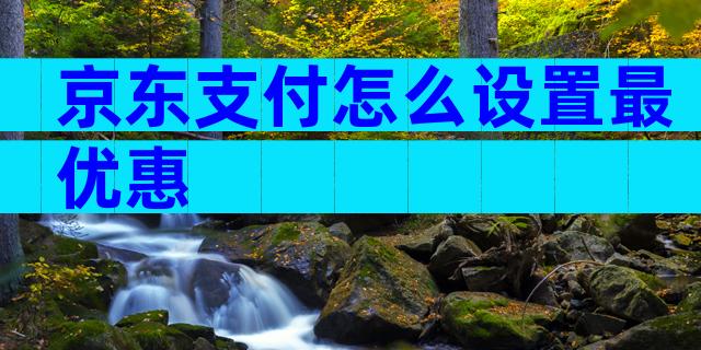 京东支付怎么设置最优惠
