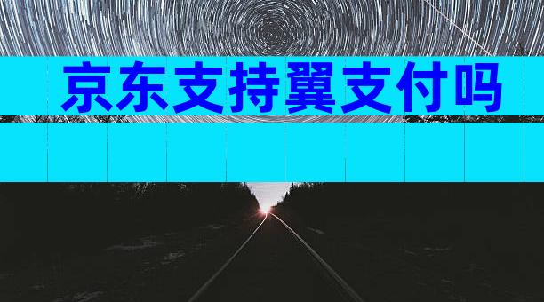 京东支持翼支付吗