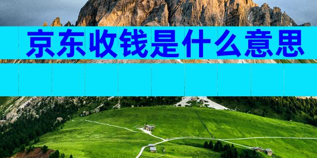 京东收钱是什么意思