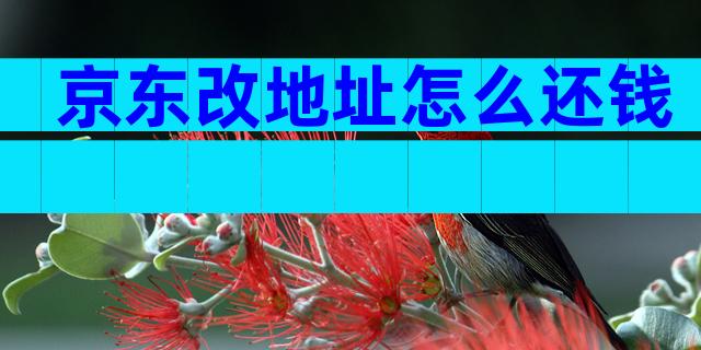 京东改地址怎么还钱