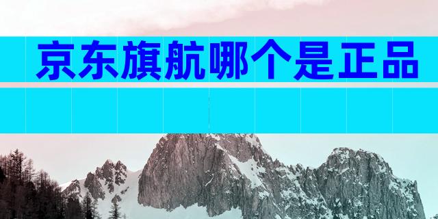京东旗航哪个是正品