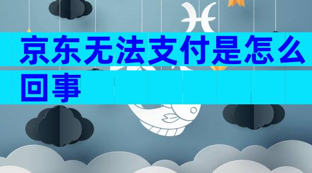 京东无法支付是怎么回事