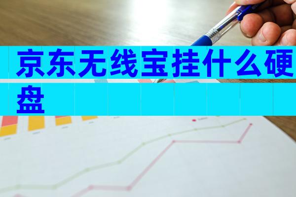 京东无线宝挂什么硬盘