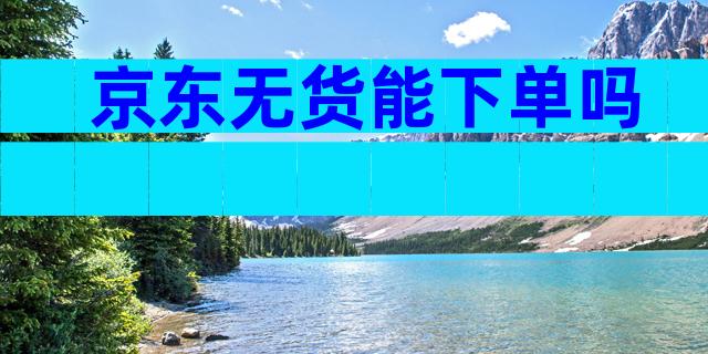 京东无货能下单吗