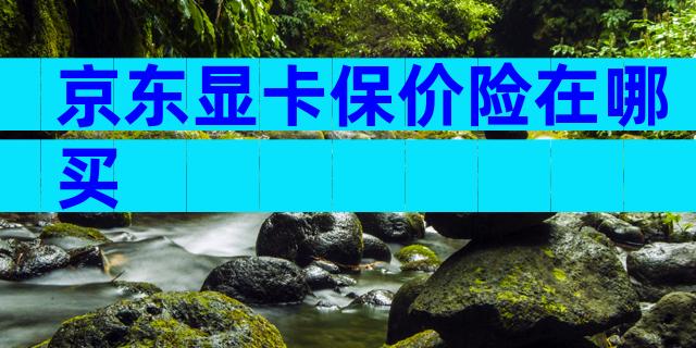 京东显卡保价险在哪买