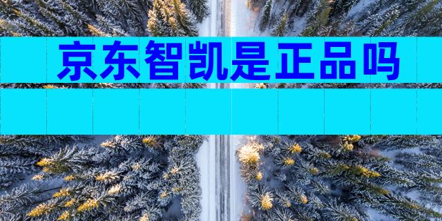 京东智凯是正品吗