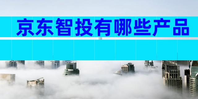 京东智投有哪些产品