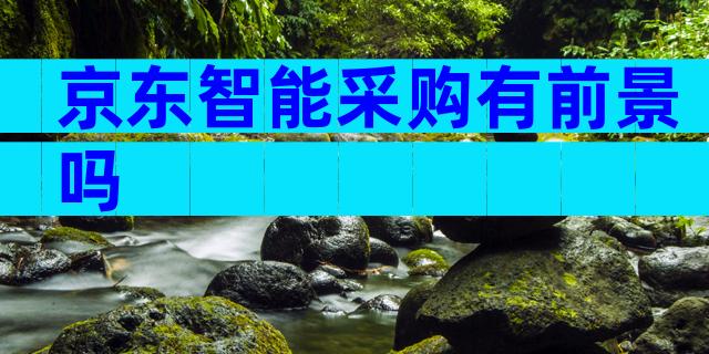 京东智能采购有前景吗