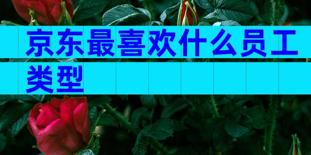 京东最喜欢什么员工类型