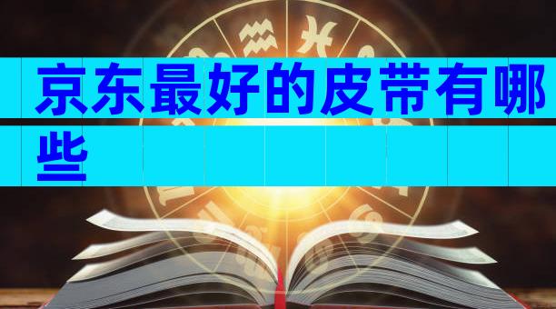 京东最好的皮带有哪些