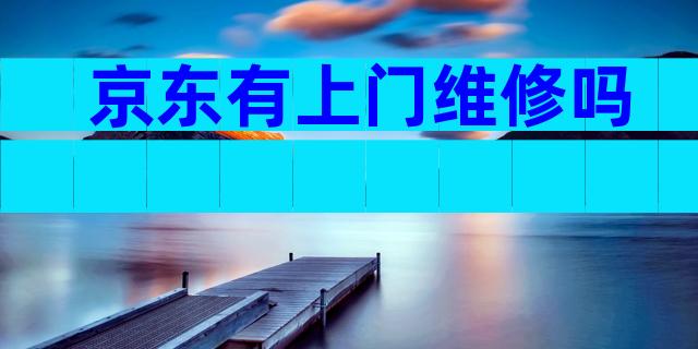 京东有上门维修吗
