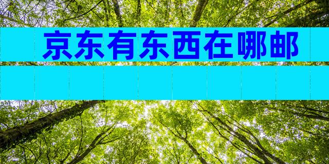 京东有东西在哪邮