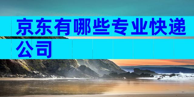 京东有哪些专业快递公司