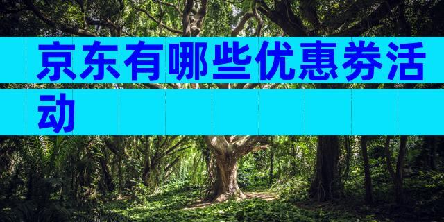 京东有哪些优惠劵活动