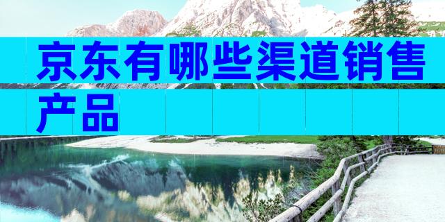 京东有哪些渠道销售产品